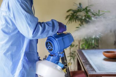 Commercial Fumigation in Fayetteville, NC