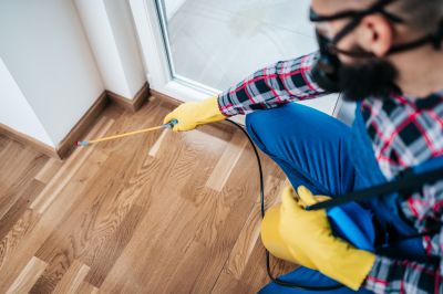 Common Spiders Extermination in Fort Worth, TX