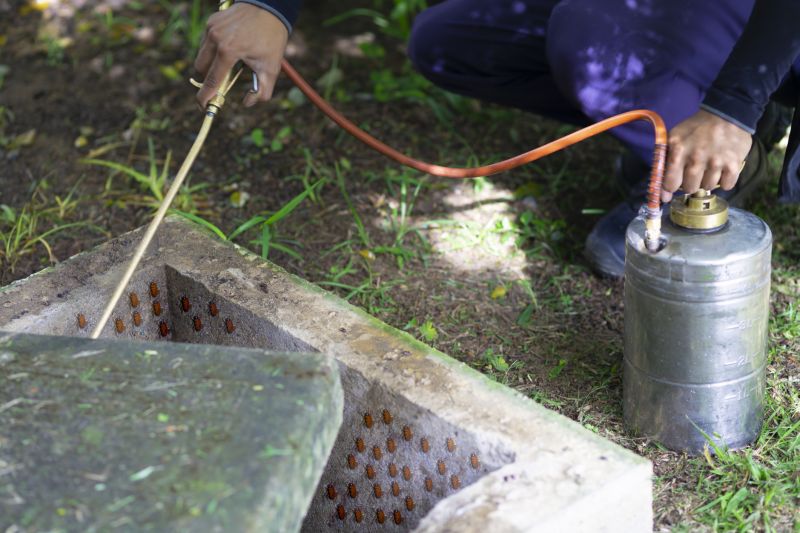 Roach Fumigation in Santa Fe, NM