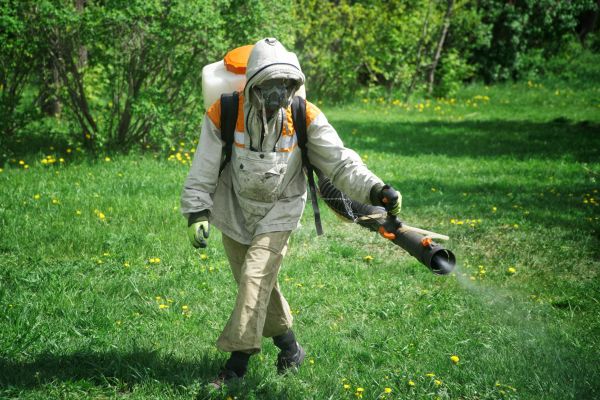 Yard Tick Extermination