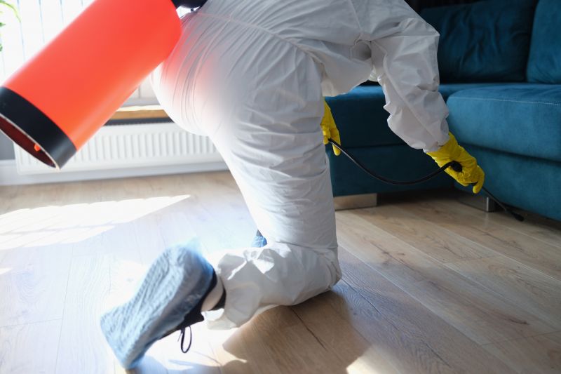 Bug Extermination Service in Arlington, TX