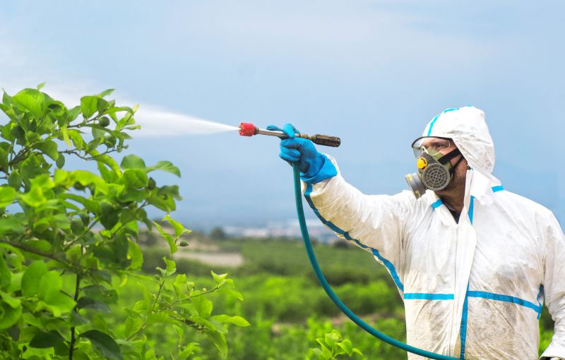 Commercial Fumigation in Katy, TX