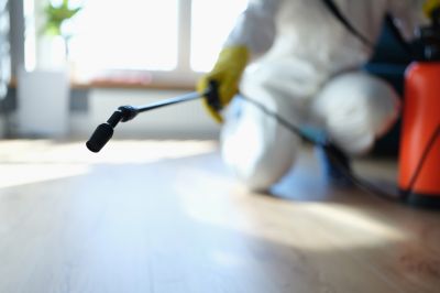 Pest Fumigation Service in Franklin, TN
