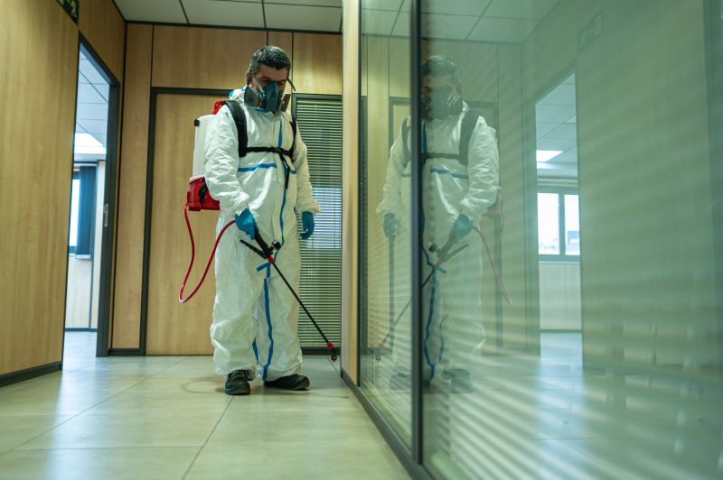 Rat Fumigation Service in Fort Collins, CO