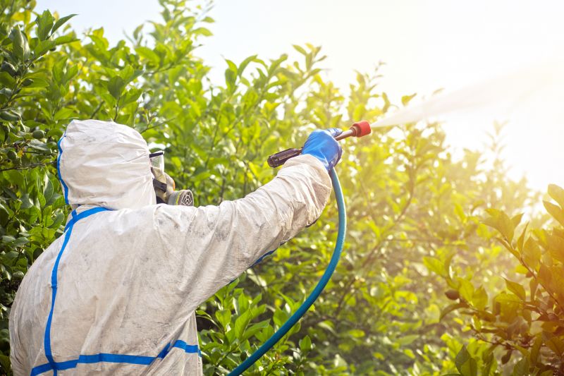 Spider Fumigation Service in Oklahoma City, OK